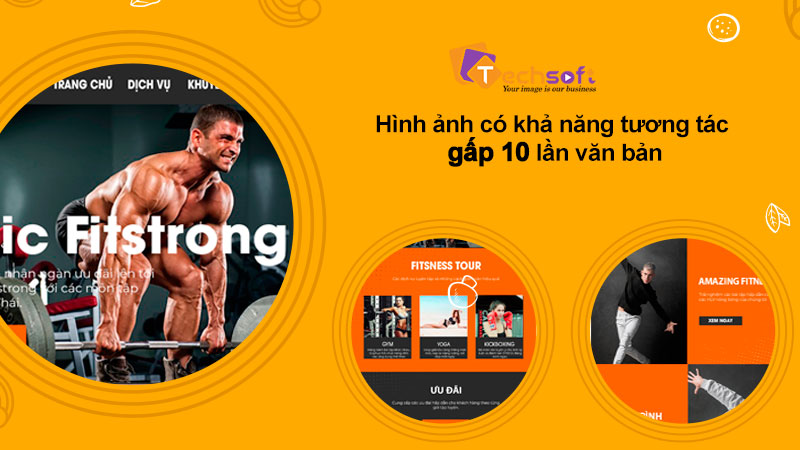 tam-quan-trong-cua-website-11